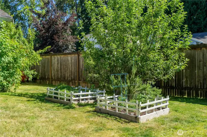 Raised garden space perfect for vegetables or herbs. (Plants go with seller in raised beds.