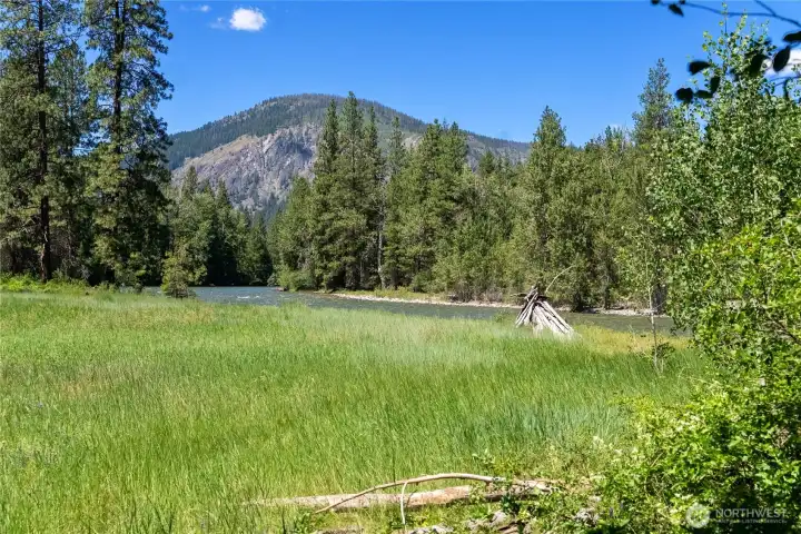 Community open space adjoining the property offers room to roam and relax.