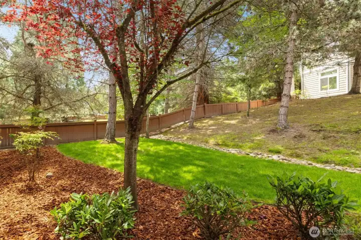 Your view from the patio.