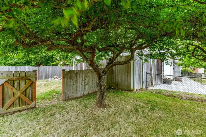 Backyard with convenient side gate access.