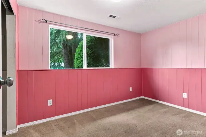 Lower level third bedroom