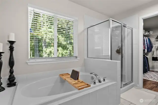 Soaker tub and separate shower