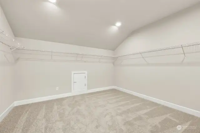 Large walk-in closet