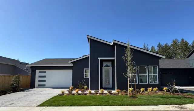 Cyrus Contemporary