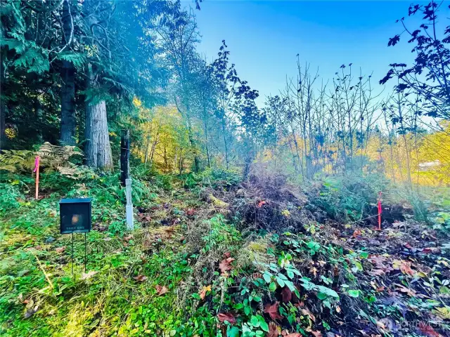Easement