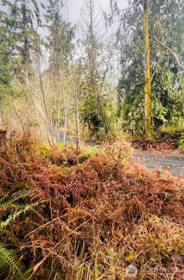 Valley Ridge Rd.