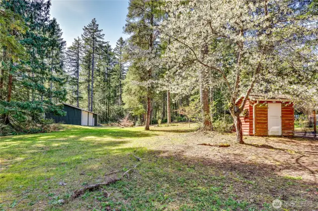 View from the house, looking towards the driveway and detached garage.