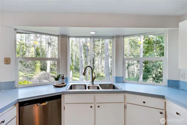 Enchanting view from the kitchen, looking onto the rear of the property.