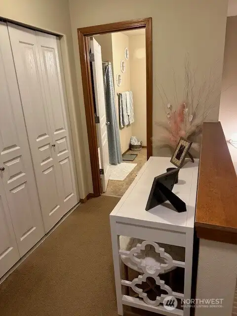 Hall bathroom and upstairs washer and dryer