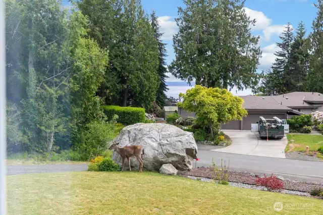 Wildlife abounds in the beautiful North Bay Community.