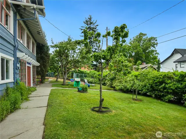 More fruit trees and yard space