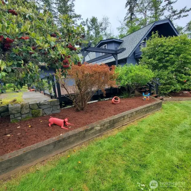 Front garden beds.