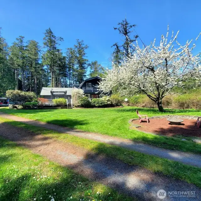 Driveway travels past fire pit. Large Cherry Tree adds a beautiful buffer from house and fire pit.
