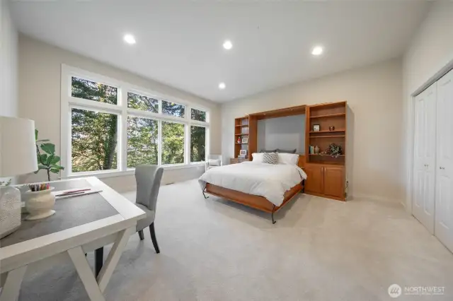This main floor bedroom is very spacious and features a Murphy bed, double closets, high ceilings, wall to wall carpeting and a wall of view windows.