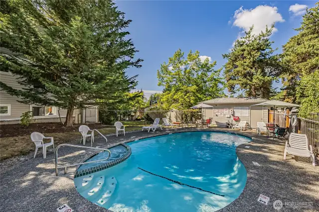 Community Pool