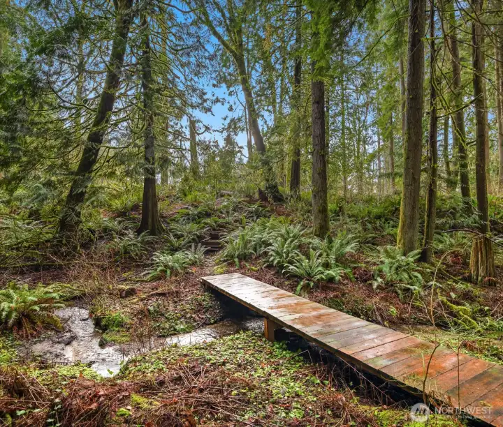Trails and bridge over creek