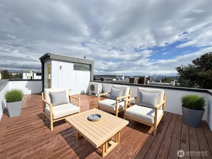 Roof top deck with expansive view!