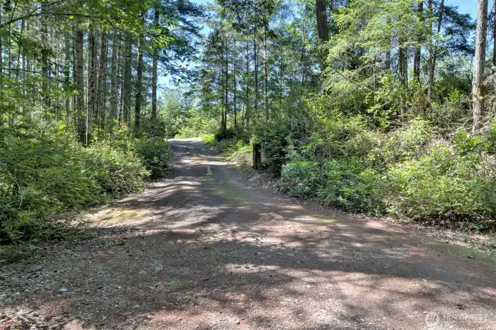 Driveway looking back to entrance from Lakeridge Dr.