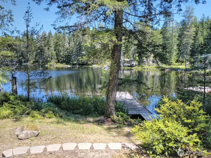 View from Fire Pit.  day picnic area