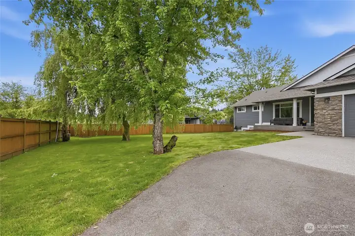 Front yard mature trees
