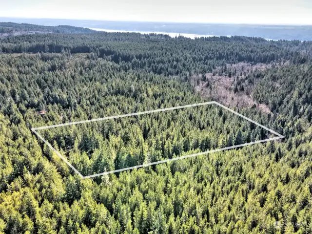 View from West to East. Hood Canal in the distance.  Property line representation of approximate.