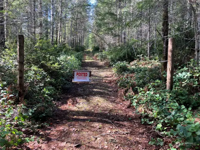 End of NE Black Bear Road and of the entrance gate. the road runs East to West along the northern property line.