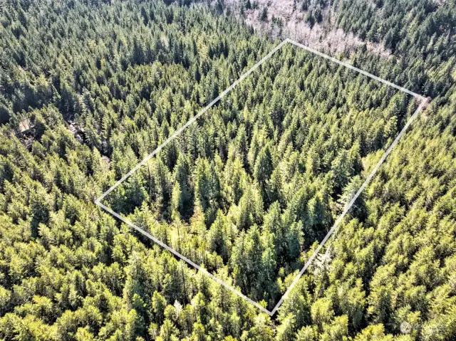 Corner monument is on the lower left corner. Manke lumber marked the property line with a clear cut area.