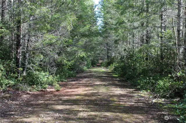 Looking along the end of Black Bear Rd. The property is approximately 440ft from the gate to a corner monument.