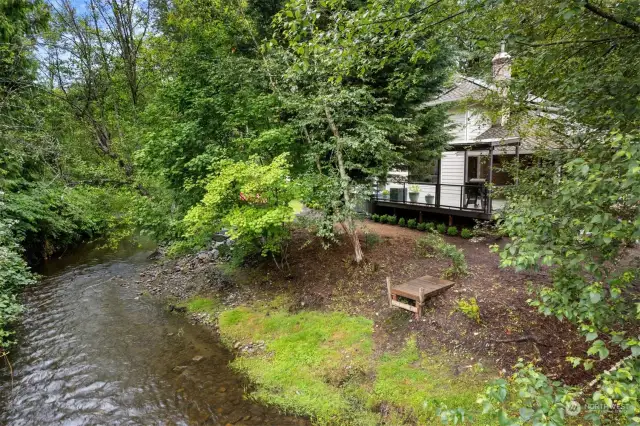 Creek running adjacent to lot