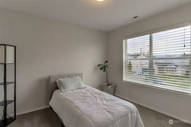 3rd bedroom. View of the mountain from this side of the home.