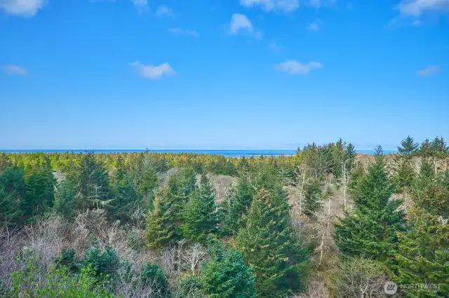 Nothing between you and the ocean but forested peace