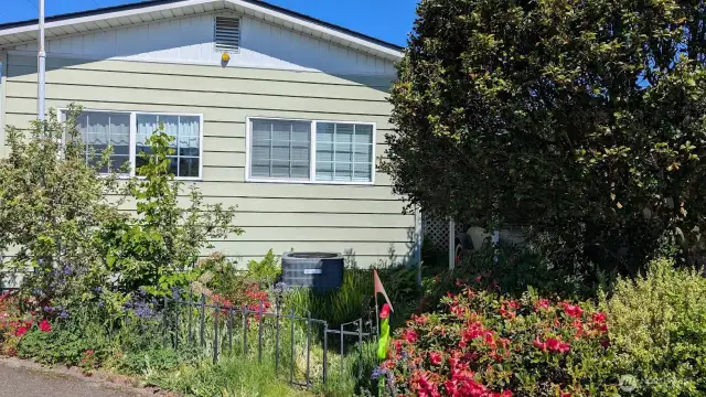 gorgeous yard