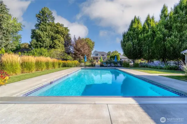 Gorgeous in ground pool