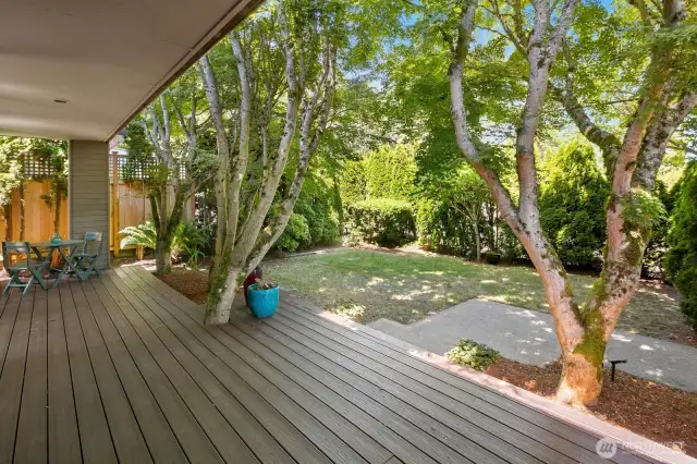 Large deck, great for entertaining or just relaxing