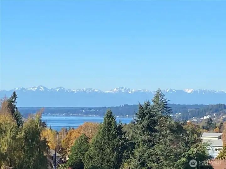 On a clear day, the Olympics pop! So much beauty in the PNW!