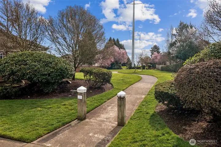 Walking trail through the neighborhood.