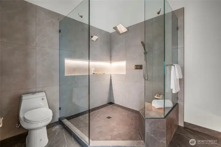 Low voltage showe niche lighting and custome plumbing