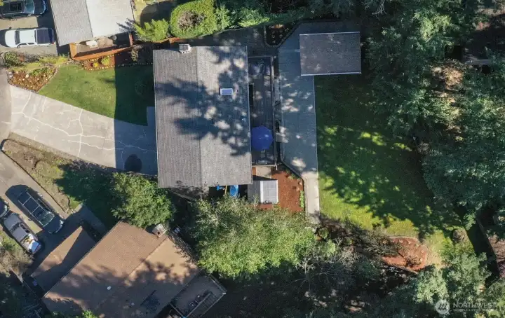 Large Lot with sunny grass areas and mature trees for shade