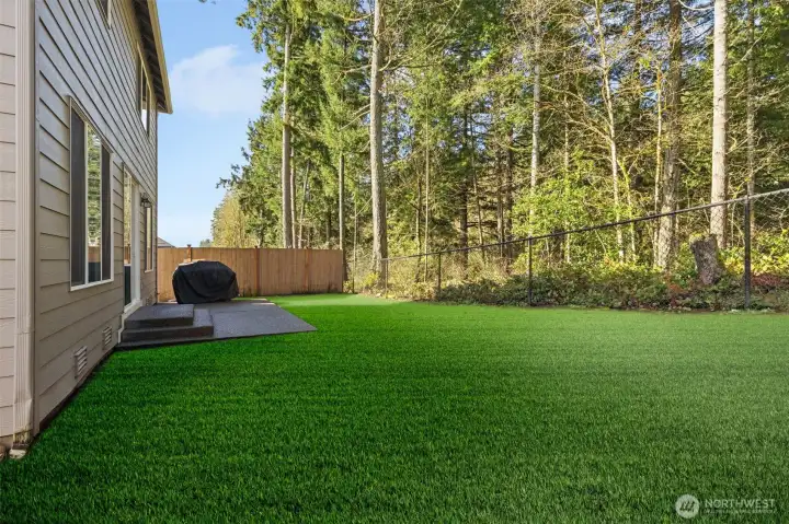 New Sod installed in backyard with mulch border ready for fresh flowers