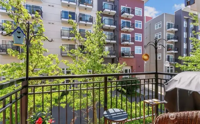 East-facing balcony at a perfect height in the tops of the street trees