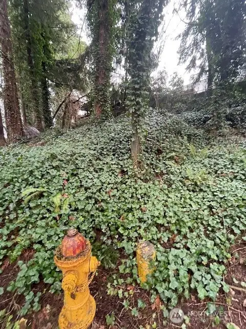 Landmark Fire Hydrant, view of slope looking into the property, facing the South East