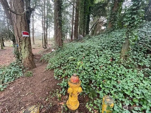 Eastward view from landmark fire hydrant from the West