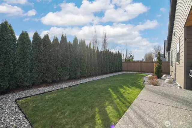 Private backyard