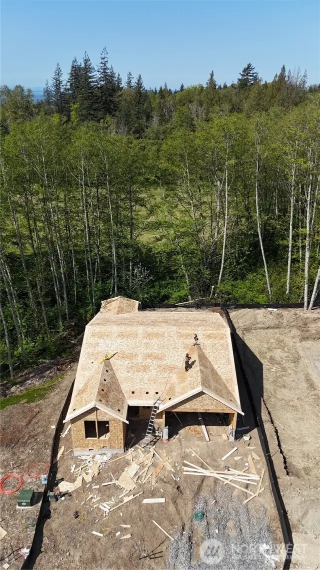 All Ramblers back to Green areas, with covered back patio.