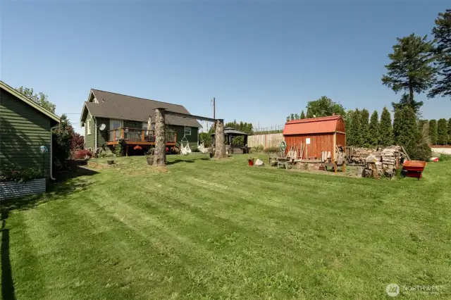 Nice manicured back yard