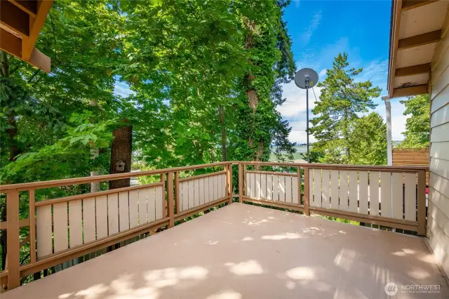 Spacious deck with view.