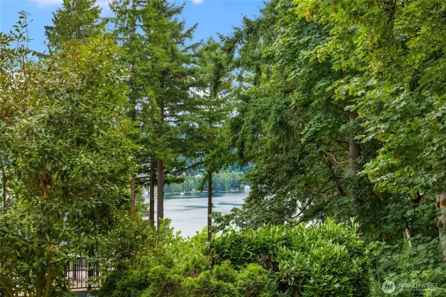 view from back yard