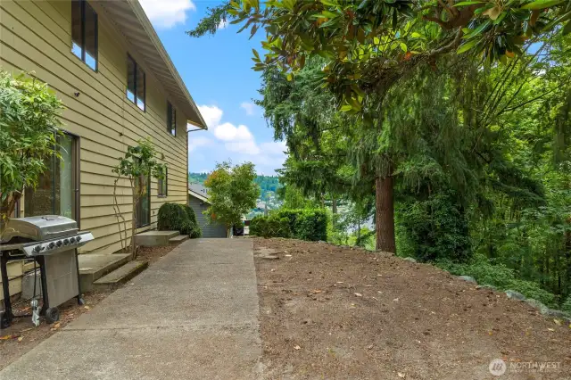 Back yard