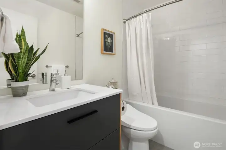 Lower level full bathroom.