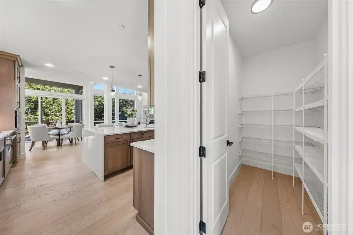 Huge walk-in pantry off the kitchen.